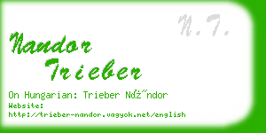 nandor trieber business card